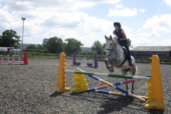 IMG_0703-Copy